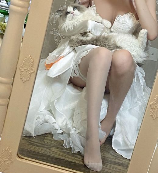 女乘务员k8经典网
